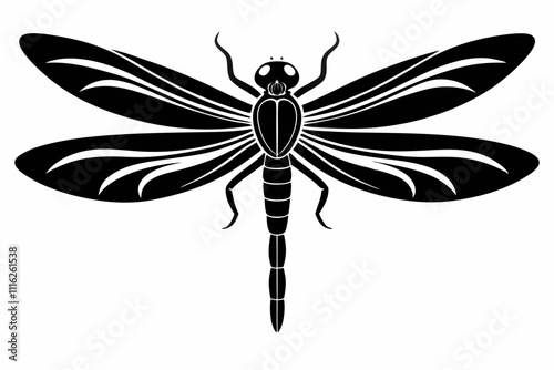 dragonfly silhouette vector illustration silhouette of Dragonfly, filled with space and sci-fi element in rough drawing.