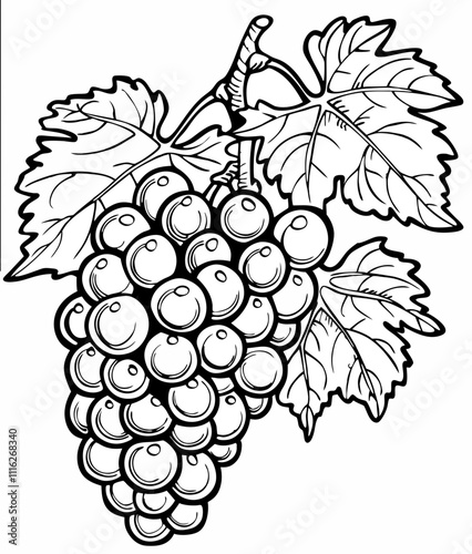 bunch of grapes vector illustration