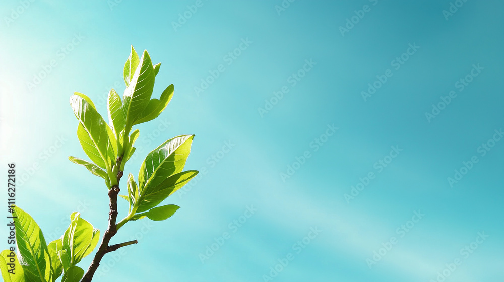 Obraz premium New oak leaves unfurling against a clear blue sky, symbolizing the freshness and renewal of spring