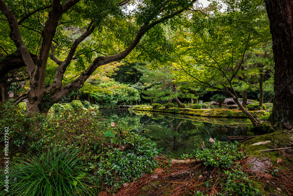 Fototapeta premium A Serene and Beautiful Nature Scene Featuring Lush Greenery and Tranquil Water Surfaces