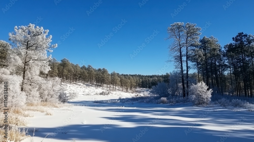 Obraz premium Frosty Snowy Landscape with Frosted Trees