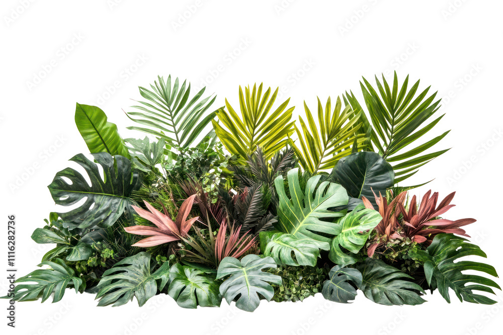 Obraz premium A diverse arrangement of vibrant tropical foliage including various species of palms and oversized leaves, designed to evoke the essence of a jungle