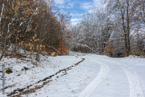 morning in an unsociable place in nature, the first snow in the autumn forest, trees in snow decoration
