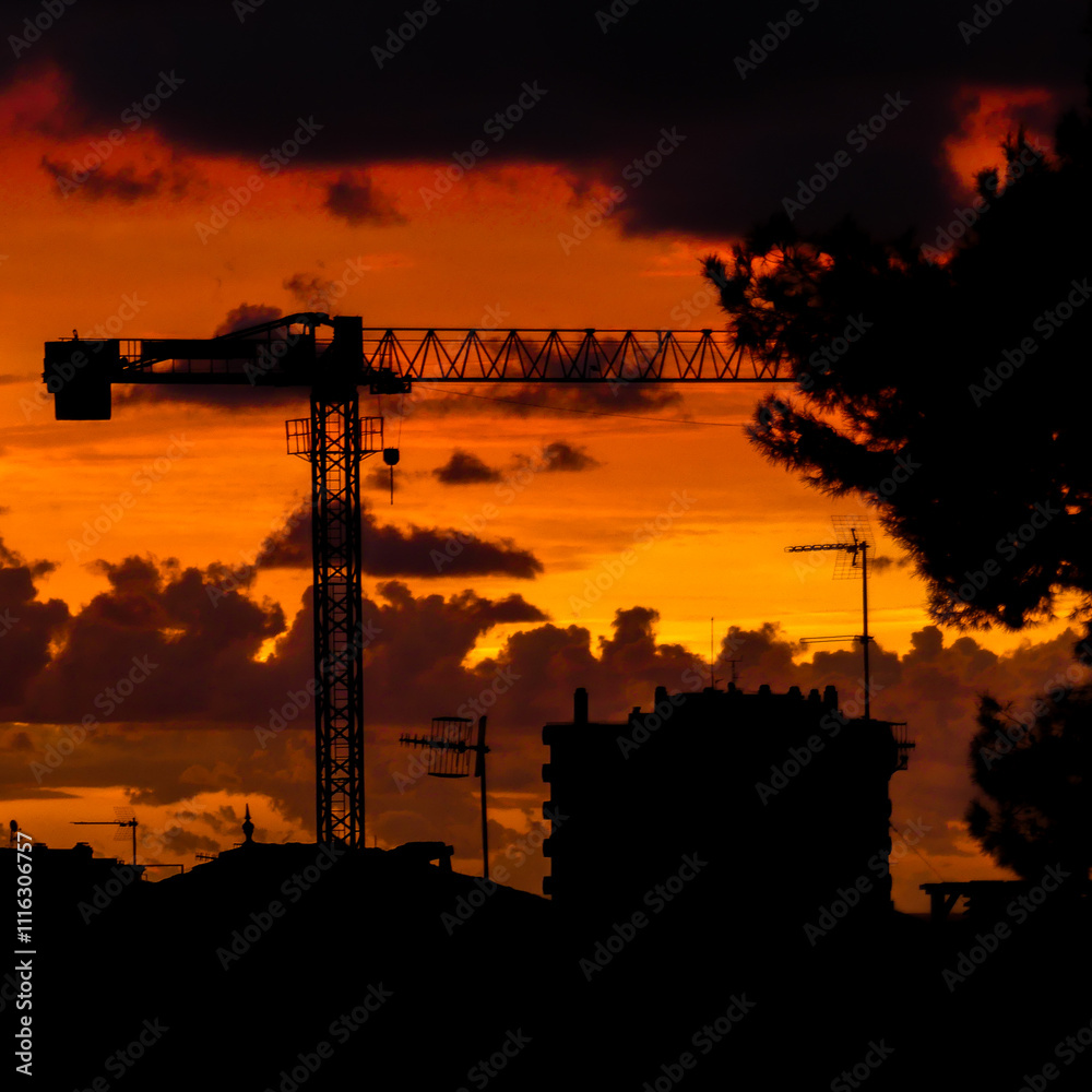 Fototapeta premium GRUA 