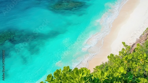 Aerial view of turquoise beach with lush green foliage and clear waves