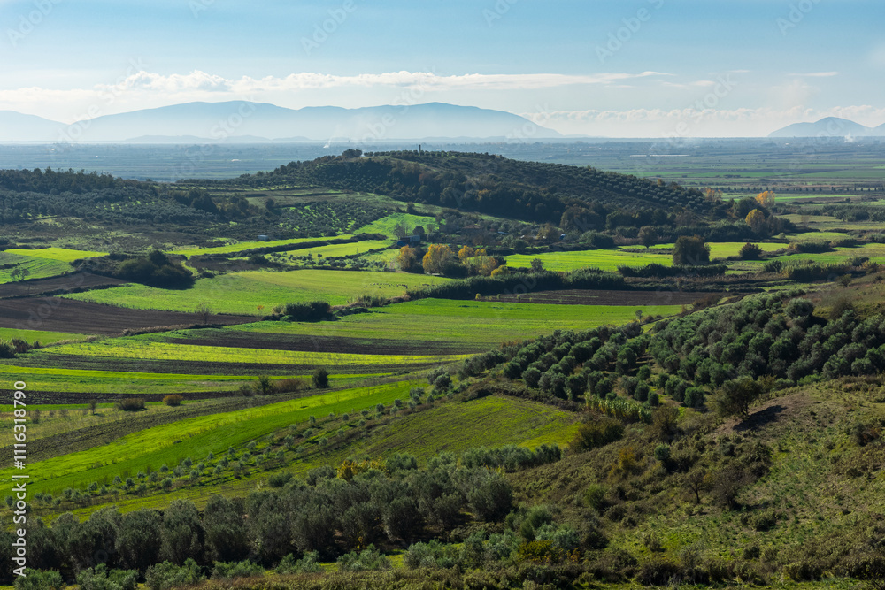 Lash green valley with olives trees and fields in Europe. Green nature with trees and mountains. Lash green valley with olives trees and fields in Europe. Green nature with trees and mountains.