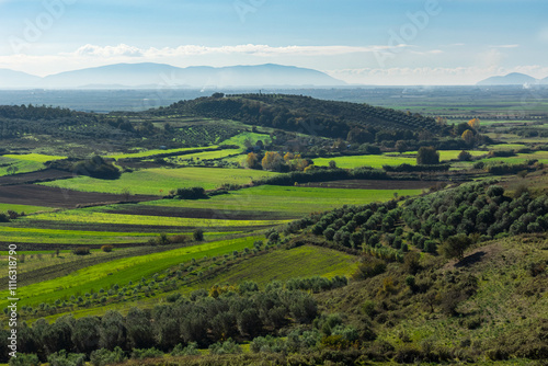 Lash green valley with olives trees and fields in Europe. Green nature with trees and mountains.