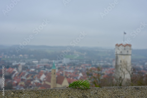 Solitary Pine Branch Overlooking a Foggy Townscape