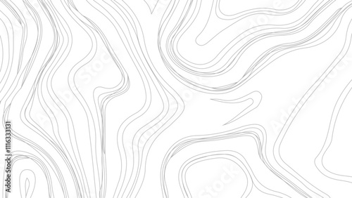 Abstract Topographic Contour Line Pattern in Black and White, Topographic map background geographic line map with elevation assignments. 