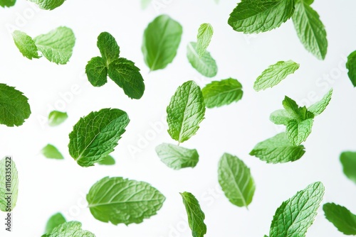 Fresh mint leaves in mid air isolated a white background