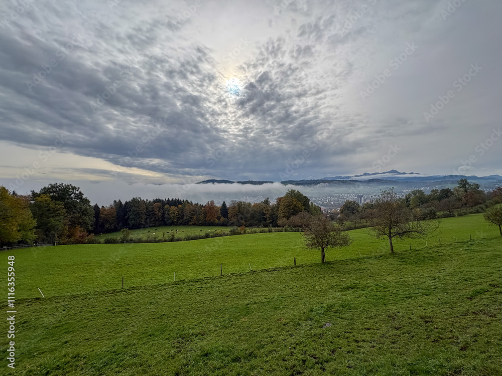 Fototapeta premium Foggy mountain panorama in autumn on a hill in Saint Gallen in Switzerland