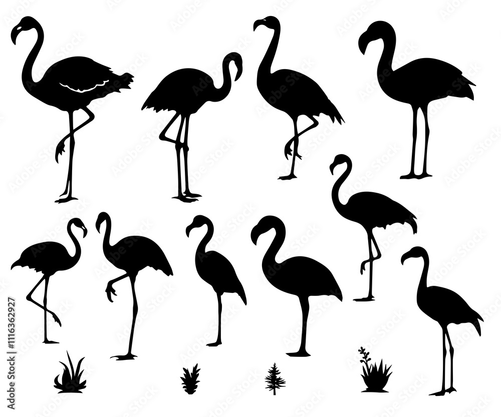 Fototapeta premium Flamingo svg set 2