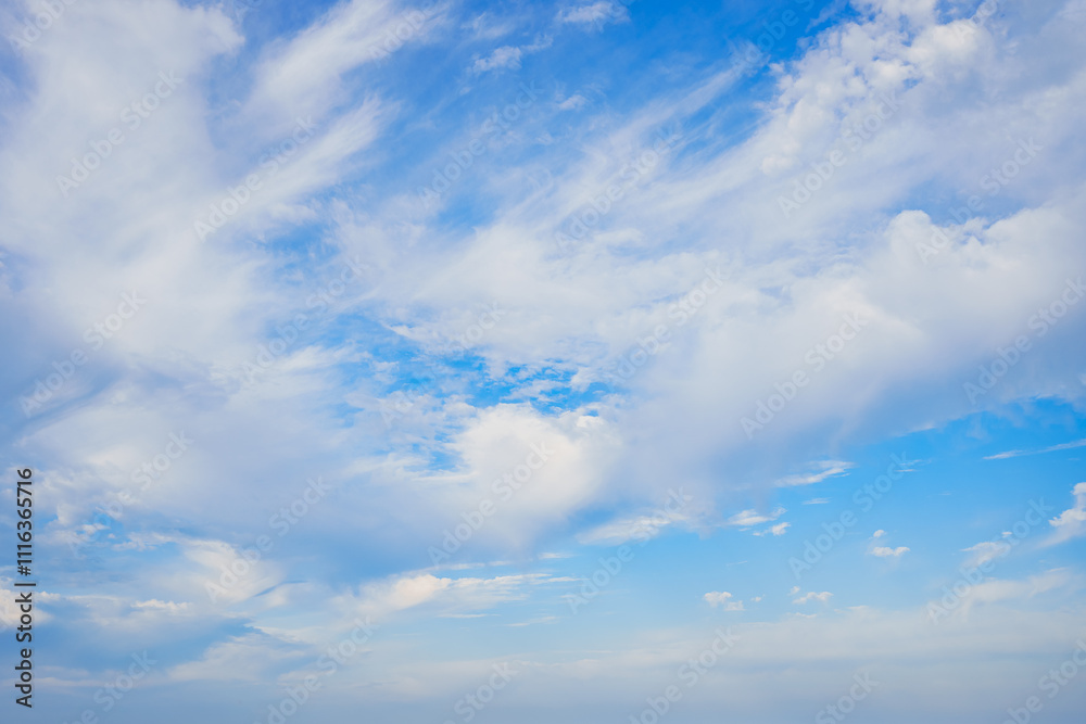 Fototapeta premium blue sky with clouds