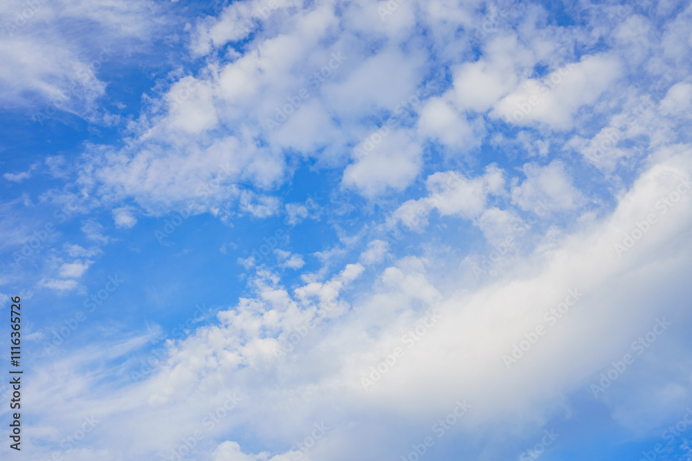 Fototapeta premium blue sky with clouds