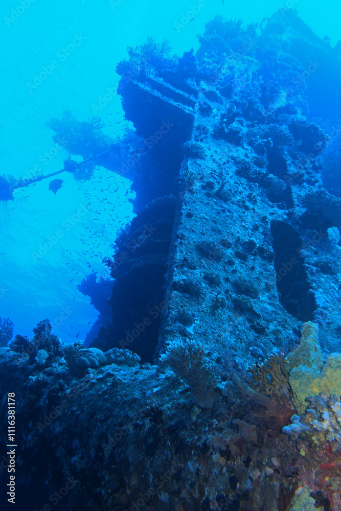 Thistlegorm shipwreck in the Red Sea, Egypt