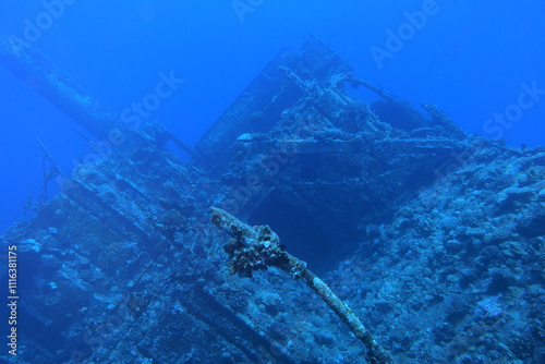 Obraz na płótnie Thistlegorm shipwreck in the Red Sea, Egypt w salonie