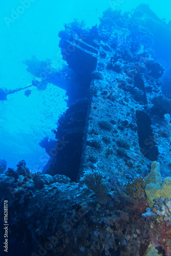 Obraz na płótnie Thistlegorm shipwreck in the Red Sea, Egypt w salonie