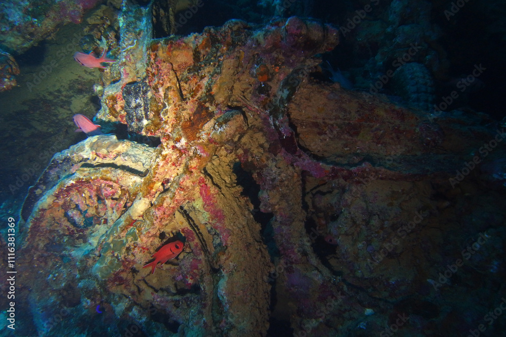 Old motorbikes inside Thistlegorm shipwreck in the Red Sea, Egypt