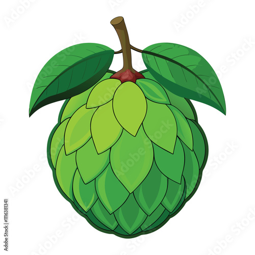 balsam apple on white background