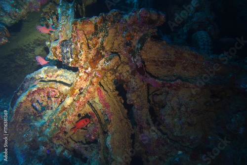 Obraz na płótnie Old motorbikes inside Thistlegorm shipwreck in the Red Sea, Egypt w salonie