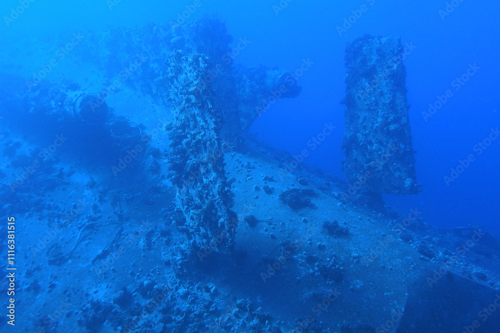 Shipwreck in the Red Sea near Safaga, Egypt