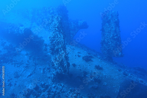 Obraz na płótnie Shipwreck in the Red Sea near Safaga, Egypt w salonie
