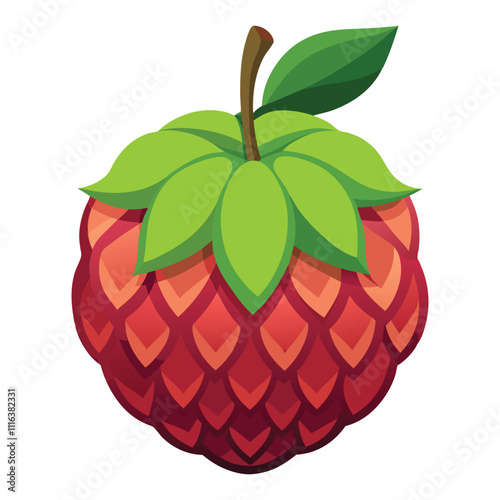 balsam apple on white background