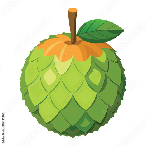balsam apple on white background