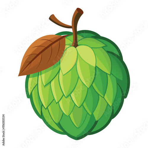 balsam apple on white background