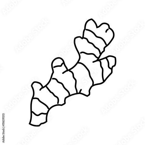 ginger root ayurvedic herb line icon vector. ginger root ayurvedic herb sign. isolated contour symbol black illustration