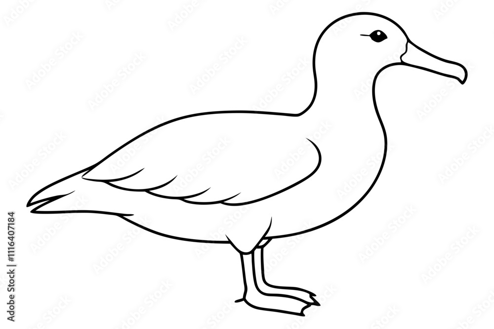Fototapeta premium albatross line art silhouette vector illustration