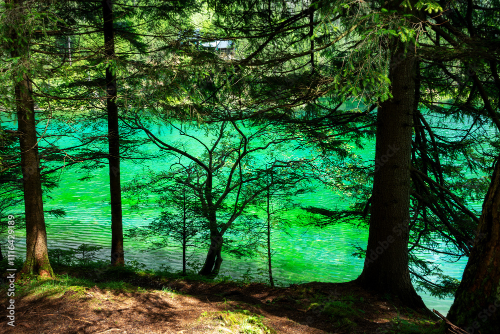 Obraz premium Detail of Green lake in Alps, Austria