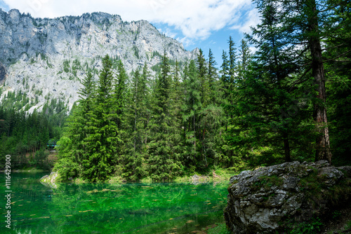 Detail of Green lake in Alps, Austria