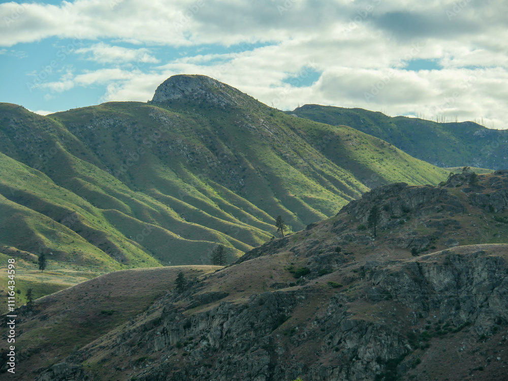 Naklejka premium Washington Valley