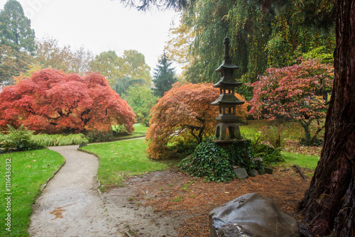 Fantastic landscape in Leverkusen. Japanese garden in autumn with Japanese maple (variety with dissected leaves)