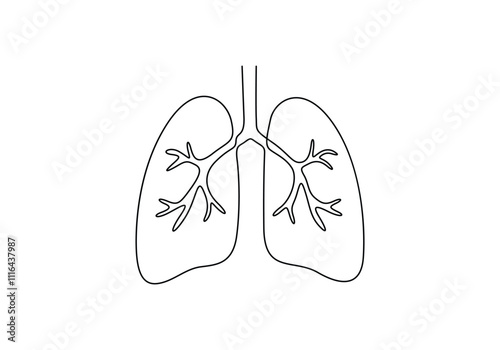 One continuous line art anatomical human lungs vector illustration