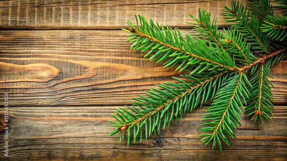 Spruce branch on a wooden background
Spruce branch on a wooden background