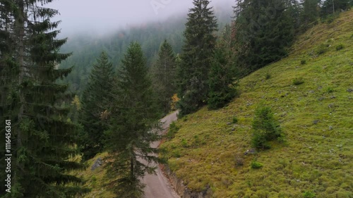 Wallpaper Mural Male cyclist riding up mountainous dirt road on gravel bike in fall in foggy weather through coniferous forest rear view in Germany. Drone footage rider cycling uphill in fall in Alps misty atmosphere Torontodigital.ca