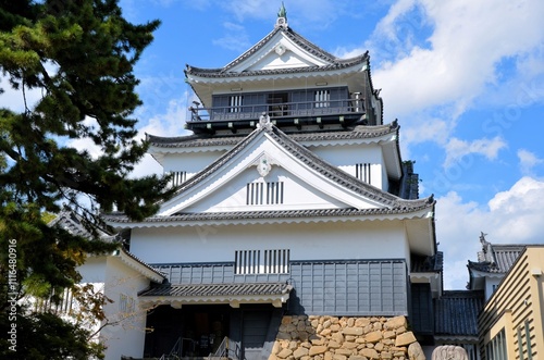 岡崎城 青空の天守閣