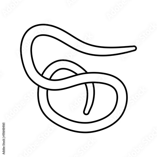 roundworm parasite line icon vector. roundworm parasite sign. isolated contour symbol black illustration