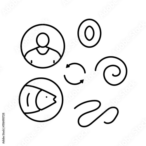 worm lifecycle parasite line icon vector. worm lifecycle parasite sign. isolated contour symbol black illustration