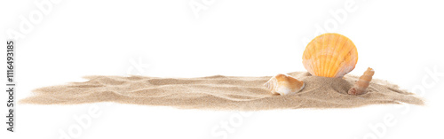 Different seashells sticking out of the sand are isolated on a white background.