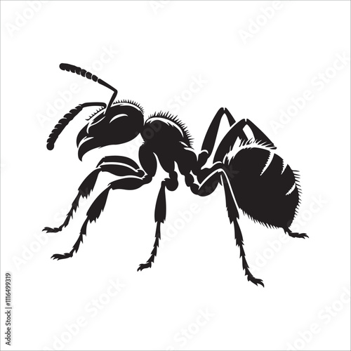 the best  ant vector  silhouette