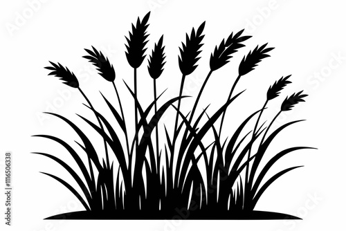A simple Prairie Grass silhouette black vector white background