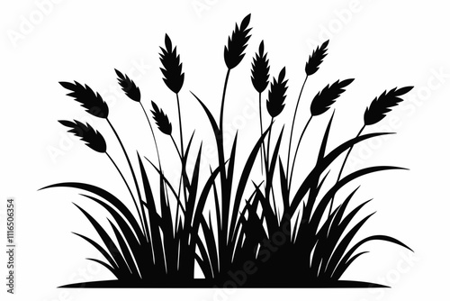 A simple Prairie Grass silhouette black vector white background