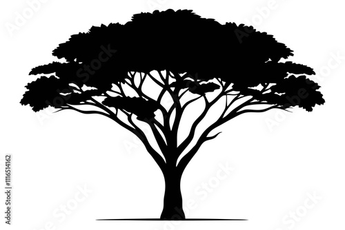 A simple Savannah Tree (Acacia) silhouette black vector white background