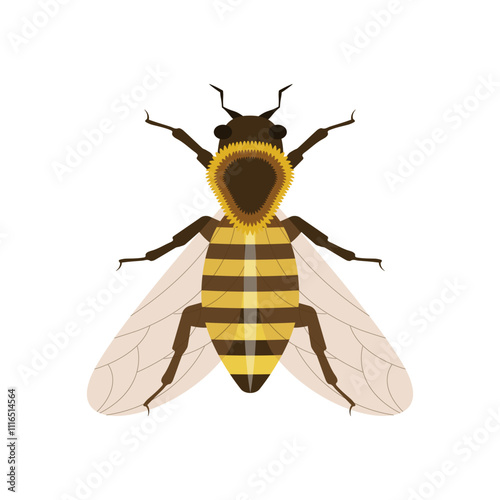 Obraz na płótnie vector of a queen bee, isolated on a white background, queen bee clipart w salonie