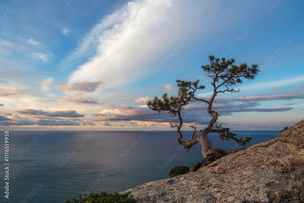 Sea and tree. Evening minimalistic marine landscape. Sea and tree. Evening minimalistic marine landscape.
