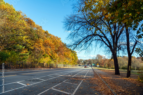 Scenic autumn view of N Beacon Street in Watertown, Massachusetts, USA
 photo