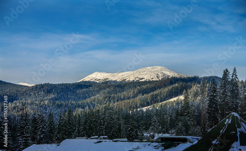 Ukrainian Carpathians mountains in winter landscape with snow-covered spruce ...